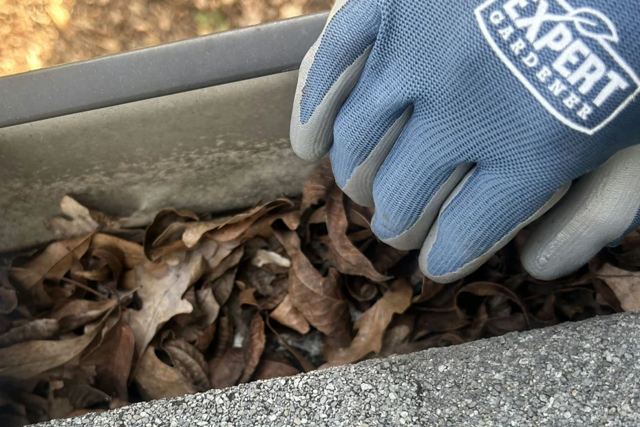 Fairfield Gutter Cleaning